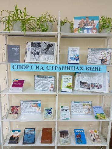 День зимних видов спорта