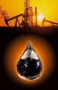 XXII Международной специализированной выставки «Сургут. Нефть и Газ-2017»