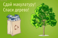 Сдай макулатуру – спаси дерево!
