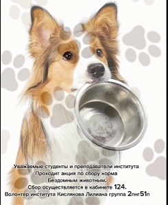 Акция по сбору корма бездомным животным