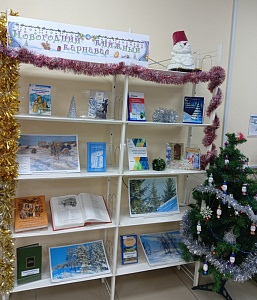 Книжная выставка «Новогодний книжный карнавал»