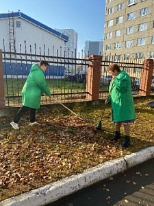 15 октября - объявлен днём сбора осенних листьев