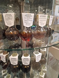 Экскурсия в музей ПАО «Сургутнефтегаз»