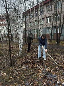Уборка опавшей листвы